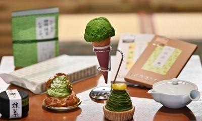 Trà truyền thống phai nhạt ở Nhật